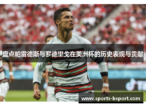 盘点帕雷德斯与罗德里戈在美洲杯的历史表现与贡献