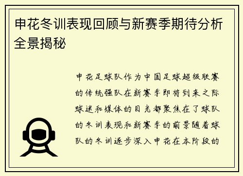 申花冬训表现回顾与新赛季期待分析全景揭秘