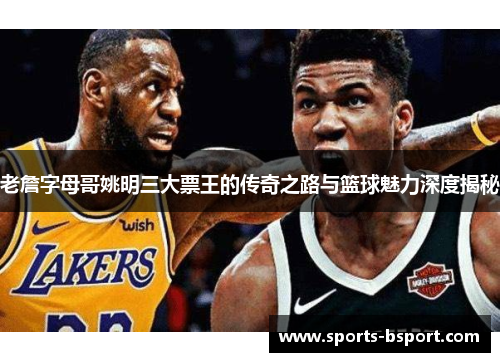 老詹字母哥姚明三大票王的传奇之路与篮球魅力深度揭秘