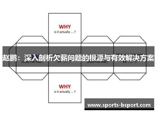 赵鹏：深入剖析欠薪问题的根源与有效解决方案