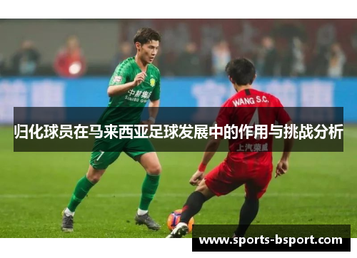 归化球员在马来西亚足球发展中的作用与挑战分析